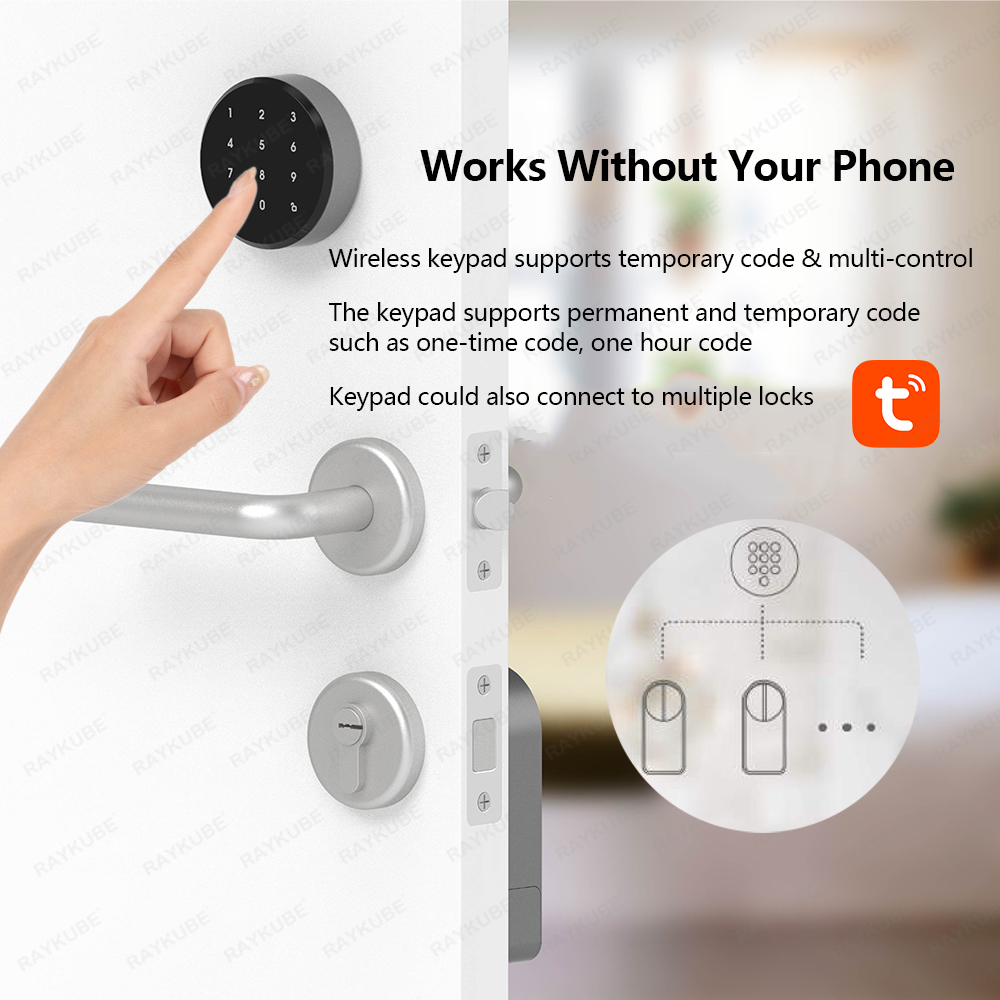RAYKUBE A1 Pro Tuya BEL 스마트 전자 - Smart Home Ezviz 리뷰 및 가격