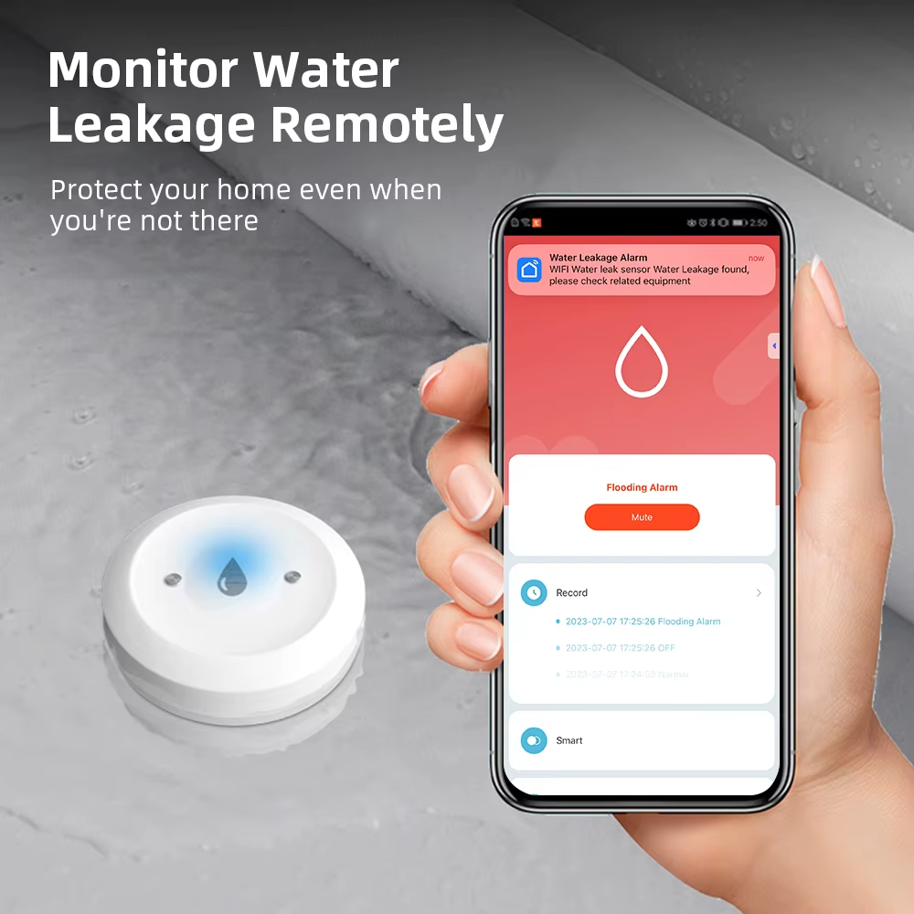 스마트 지그비 누수 센서 홍수 누수 감지기 앱 원격 모 - Smart Home Zentrale 리뷰 및 가격