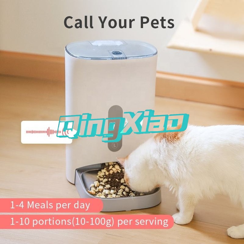 홈 멀티 애완동물 자동 급식기, 고양이와 강아지를 위한 - Smart Home Camera 리뷰 및 가격