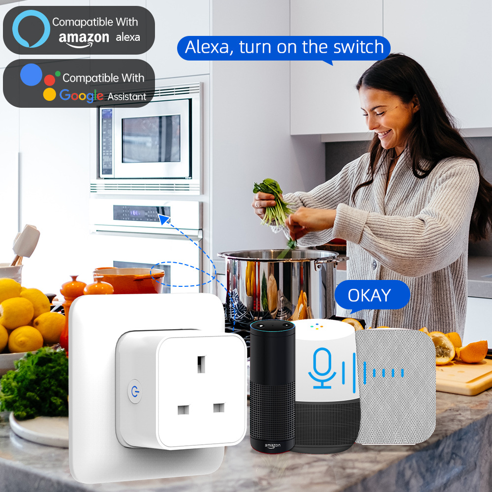 Tuya 스마트 소켓 16A/20A WiFi 또는 Zi - Smart Home Or Smart Home 리뷰 및 가격