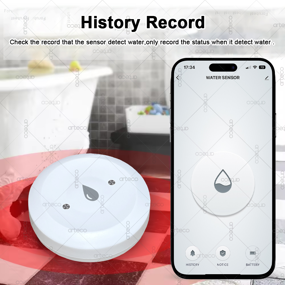 Tuya 스마트 지그비 워터 센서 홍수 누수 감지기 앱 - Smart Home Zentrale 리뷰 및 가격