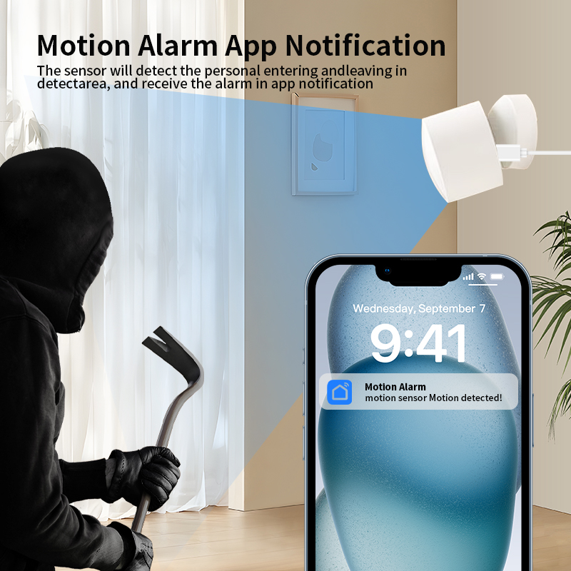 원격 모니터링 및 스마트 홈 자동화를 위해 Tuya S - Smart Home Or Smart Home 리뷰 및 가격
