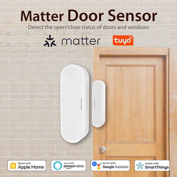 Tuya 스마트 도어 윈도우 센서, 홈 보안 감지기,  - Smart Home Or Smart Home 리뷰 및 가격